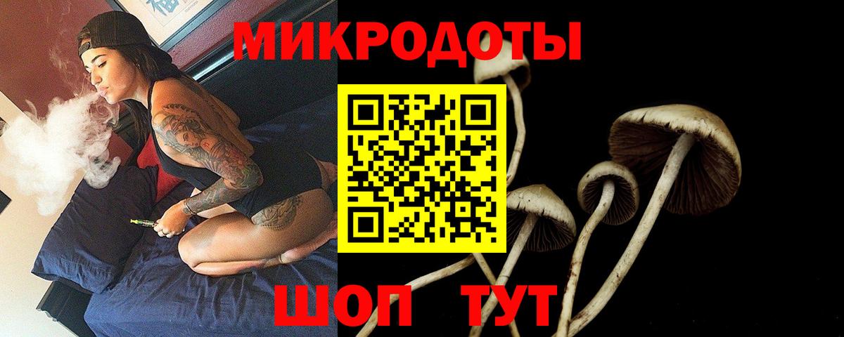 Псилоцибиновые грибы Psilocybine cubensis  Галлюциногенные грибы GOLDEN TEACHER  Кореновск  Вход с VPN 